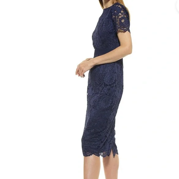 chinese dress ladies Alexia Admor Women's Marais Triangle Neck Midi Sheath Dress, Brown, Medium
